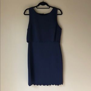Navy Scalloped Dress